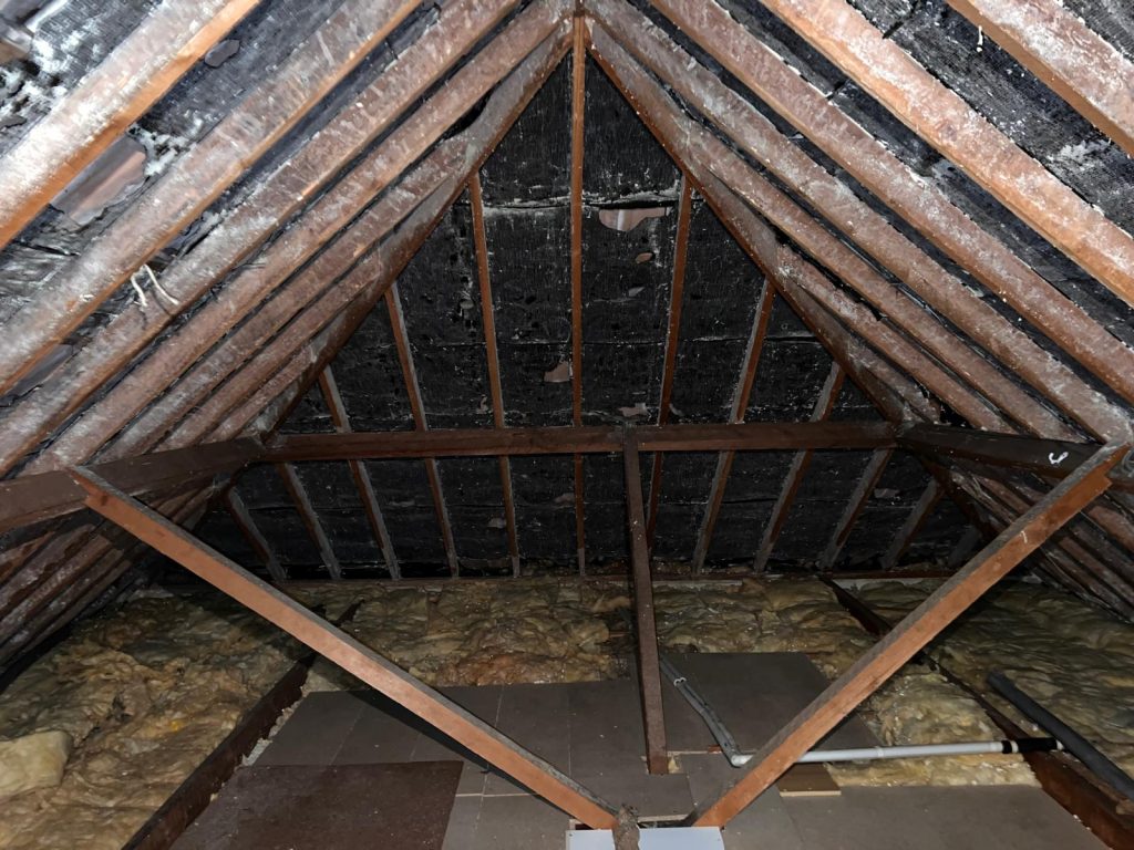 Attic with exposed beams